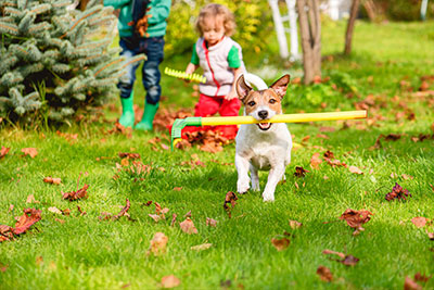 Child and dog in autumn