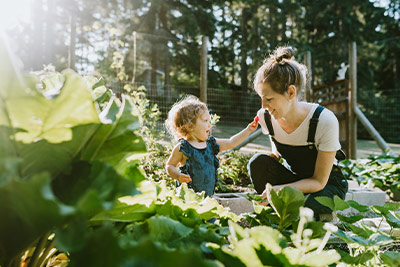 Tips for Watering Summer Gardens